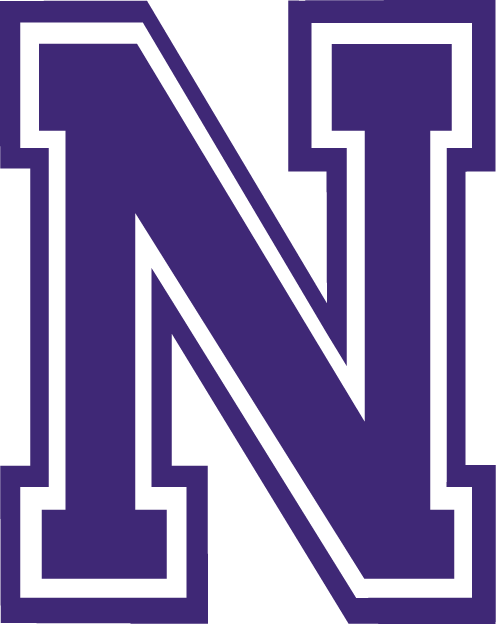 Northwestern State Demons 2000-2007 Alternate Logo iron on transfers for fabric